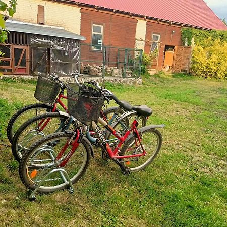Malinowy Gaj - Agroturystyka Z Alpakami I Innymi Zwierzetami Swietajno  Dış mekan fotoğraf