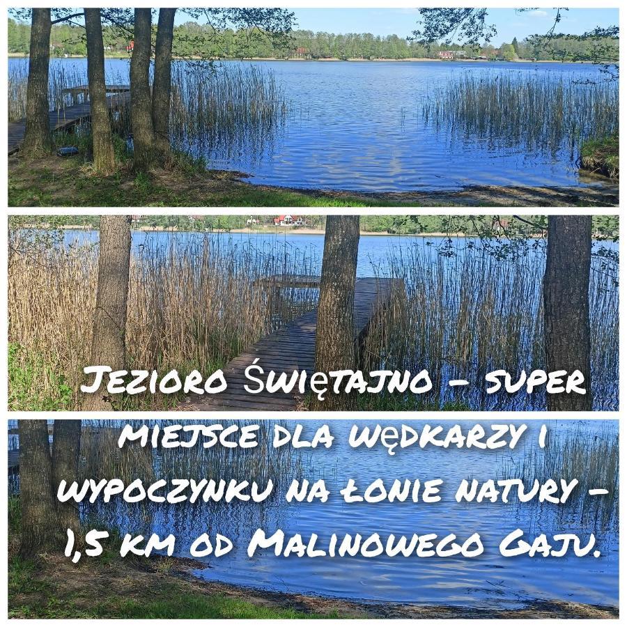 Malinowy Gaj - Agroturystyka Z Alpakami I Innymi Zwierzetami Swietajno  Dış mekan fotoğraf