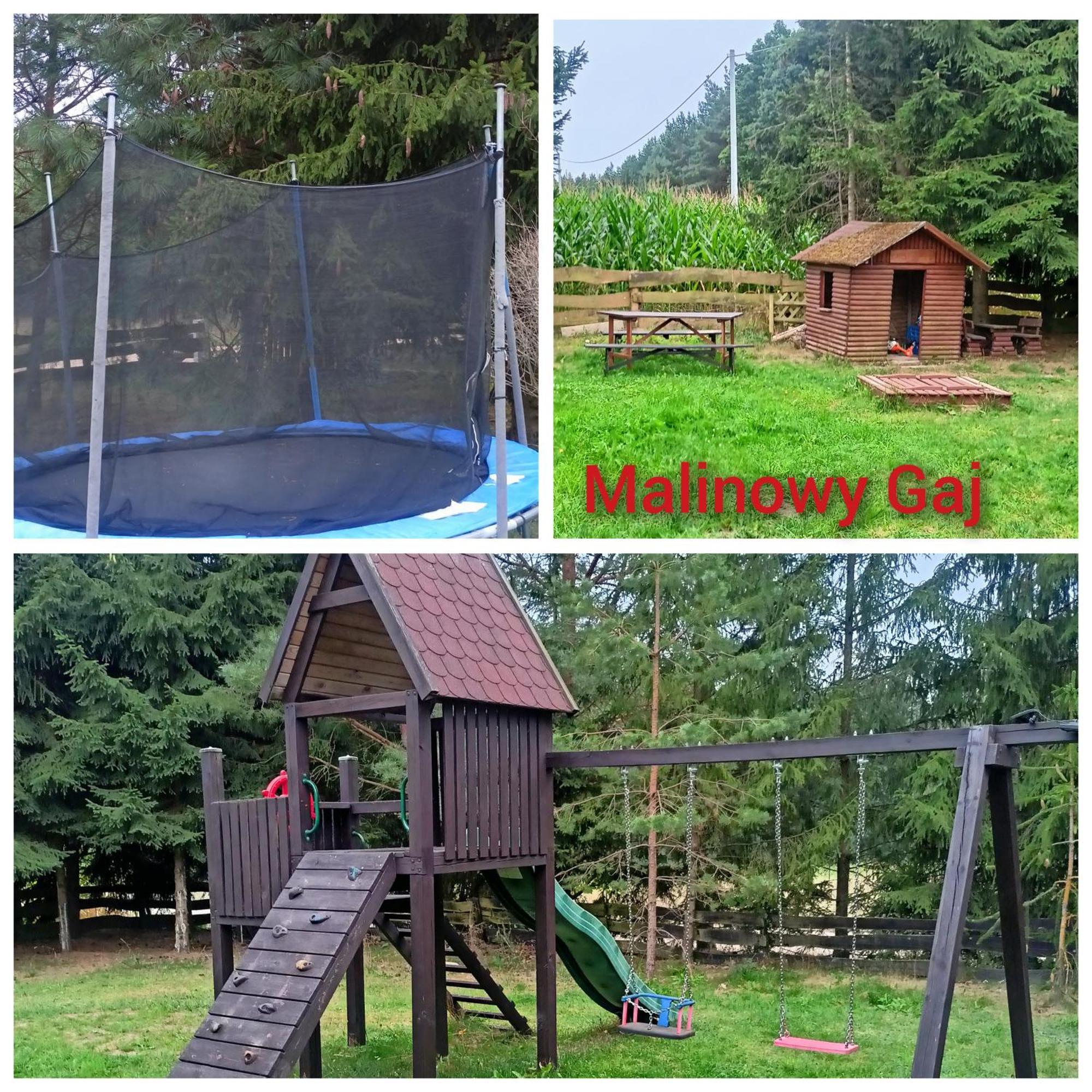 Malinowy Gaj - Agroturystyka Z Alpakami I Innymi Zwierzetami Swietajno  Dış mekan fotoğraf