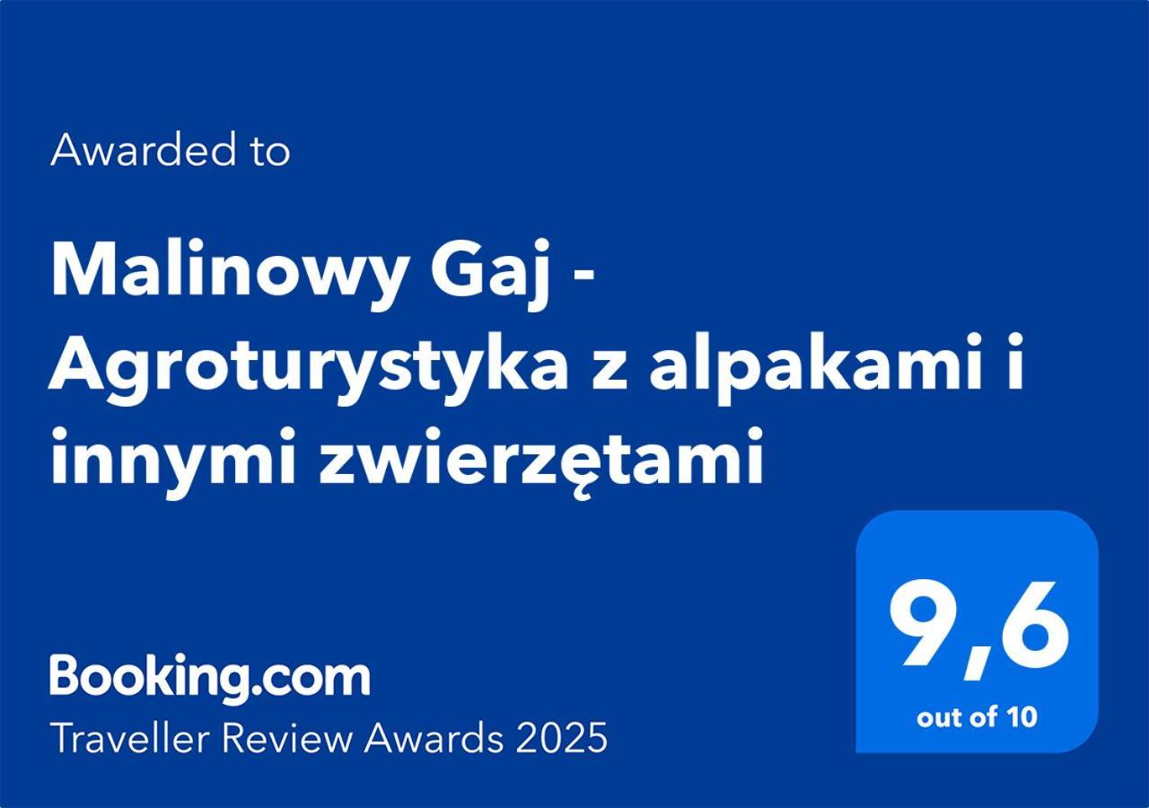 Malinowy Gaj - Agroturystyka Z Alpakami I Innymi Zwierzetami Swietajno  Dış mekan fotoğraf