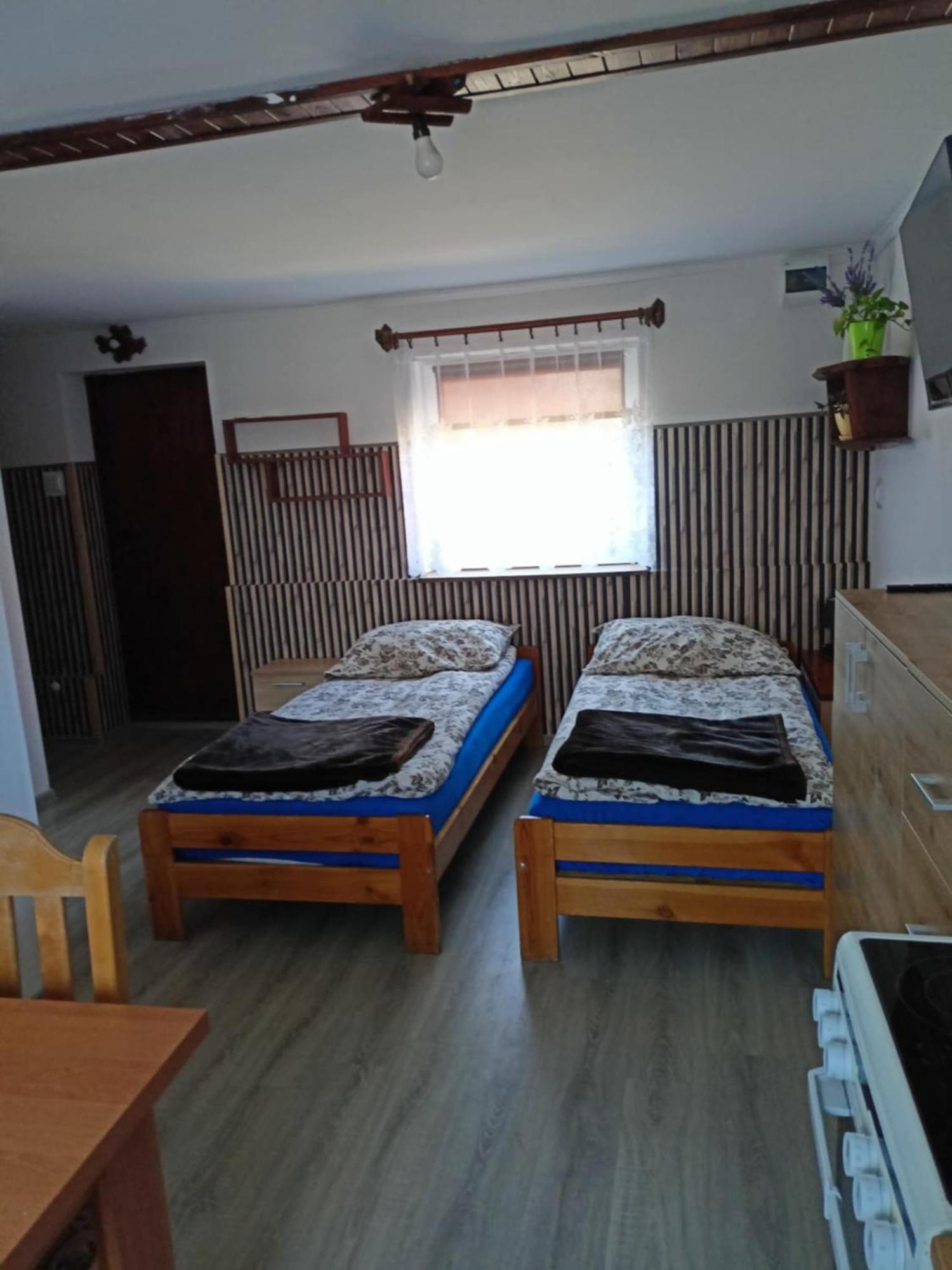 Malinowy Gaj - Agroturystyka Z Alpakami I Innymi Zwierzetami Swietajno  Dış mekan fotoğraf